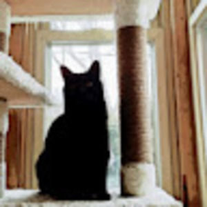 Meet your Posher, Kara